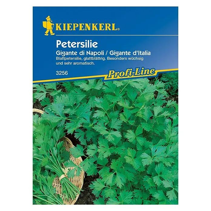 Kiepenkerl Profi-Line Kräutersamen Petersilie - Gigante di Napoli, Petroselinum crispum var. neapolitanum, Saatzeit: März, Erntezeit: Juni - Samenpackung Petersilie 'Gigante di Napoli'. Blattpetersilie, glattblättrig, wüchsig und aromatisch, für den Anbau im Garten oder auf dem Balkon.