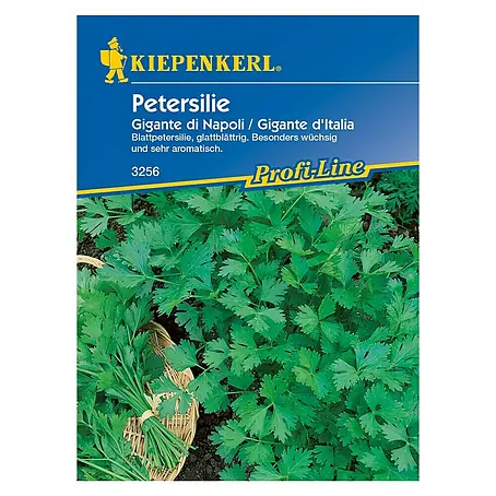 Kiepenkerl Profi-Line Kräutersamen Petersilie