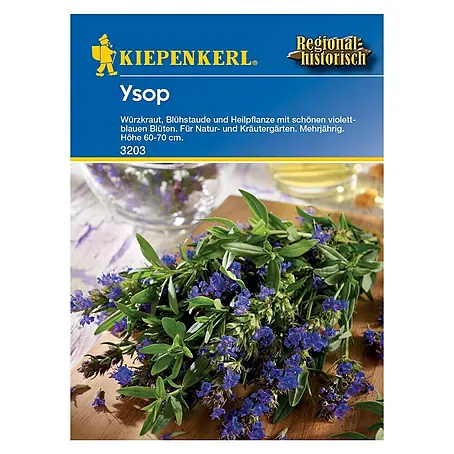 Kiepenkerl  Kräutersamen Ysop