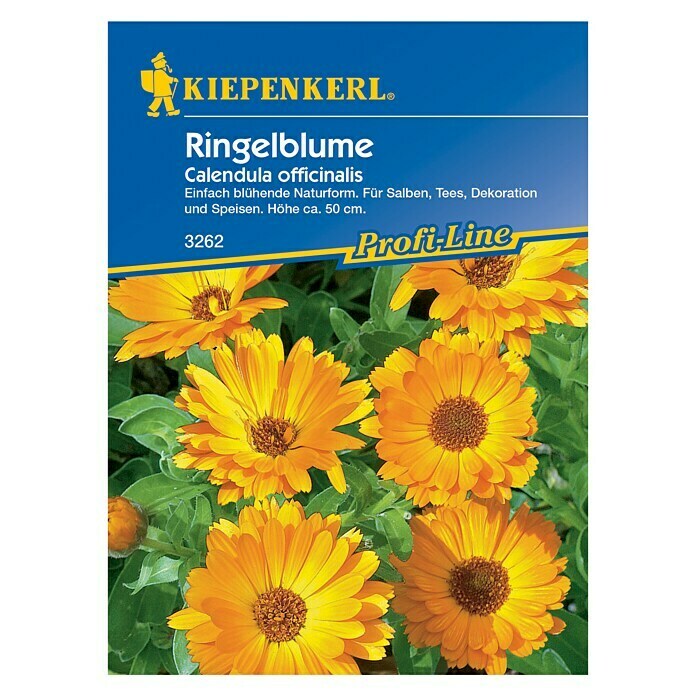 Kiepenkerl Profi-Line Blumensamen RingelblumeCalendula officinalis, Naturform, Blütezeit: Juni - Oktober Front View