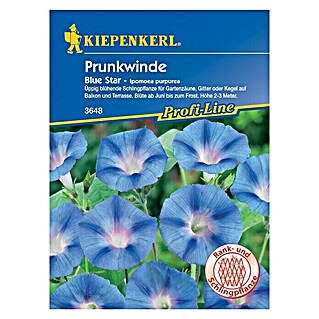 Kiepenkerl Profi-Line Blumensamen Prunkwinde (Ipomoea purpurea, Blue Star, Blütezeit: Juni)