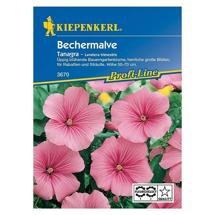 Kiepenkerl Profi-Line Blumensamen Bechermalve Tangara Pink - Lavatera trimestris, Rose - Samenpackung Bechermalve Tanagra: Üppige Bauerngartenblume mit herrlichen großen, rosa Blüten, ideal für Rabatten und Sträuße.