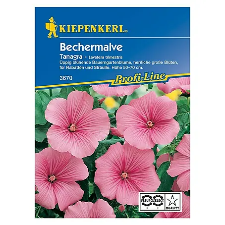 Kiepenkerl Profi-Line Blumensamen Bechermalve Tangara Pink
