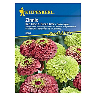 Kiepenkerl Profi-Line Blumensamen Zinnie (Zinnia elegans, Red Lime/Green Lime)