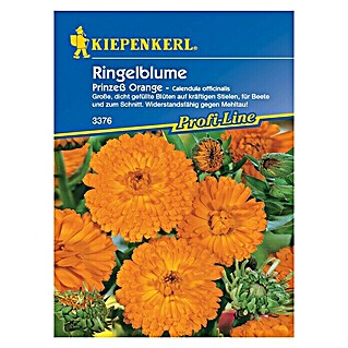 Kiepenkerl Profi-Line Blumensamen Ringelblume (Calendula officinalis, Prinzeß Orange, Blütezeit: Juni)