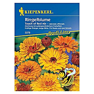 Kiepenkerl Profi-Line Blumensamen Ringelblume (Calendula officinalis, Touch of Red Mix, Blütezeit: Juni)