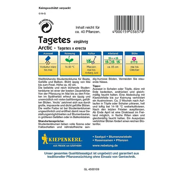 Kiepenkerl Profi-Line Blumensamen Studentenblume - Tagetes erecta, Arctic, Blütezeit: Mai - Abbildung der Tagetes Arctic Samenpackung. Eine einjährige, weißblühende Studentenblume für Beet, Gefäße und Balkon.
