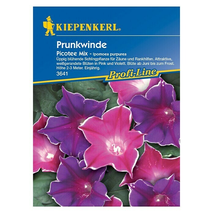| BAUHAUS Kiepenkerl Profi-Line Blütezeit: Prunkwinde (Ipomoea Blumensamen Picotee Juni) Mix, purpurea,