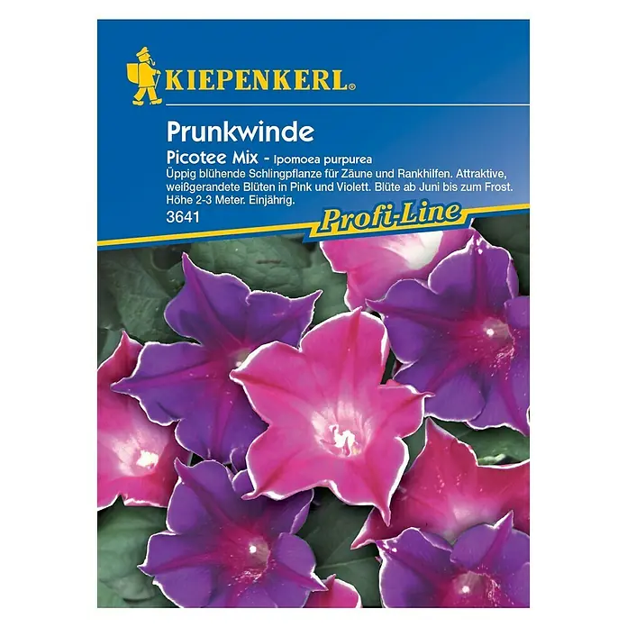 Kiepenkerl Profi-Line Blumensamen Prunkwinde - Ipomoea purpurea, Picotee Mix, Blütezeit: Juni - Samenpackung Prunkwinde Picotee Mix von KIEPENKERL®. Attraktive, weißgerandete Blüten in Pink und Violett. Höhe 2-3 Meter. Einjährig.