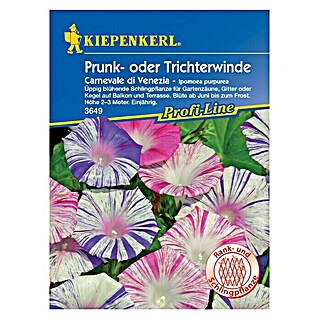 Kiepenkerl Profi-Line Blumensamen Trichterwinde (Ipomoea purpurea, Mehrfarbig)
