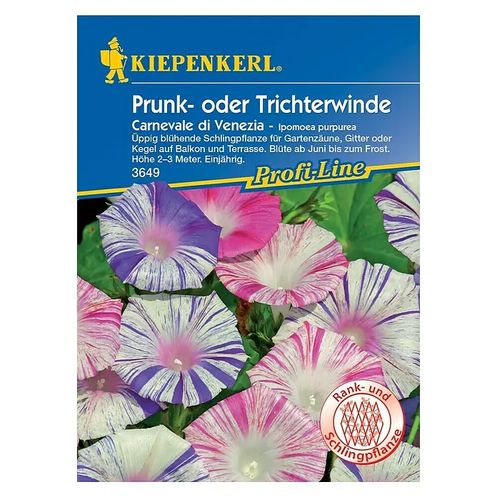 Kiepenkerl Profi-Line Blumensamen Trichterwinde - Ipomoea purpurea, Mehrfarbig - Samentüte Prunk- oder Trichterwinde 'Carnevale di Venezia' mit farbenprächtigen, gestreiften Blüten für Zäune, Gitter und Kübel.