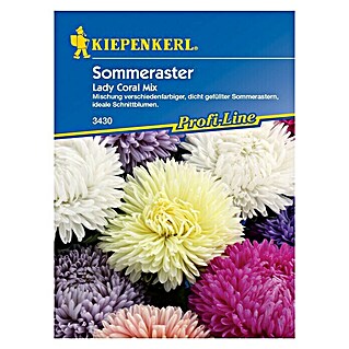 Kiepenkerl Profi-Line Blumensamen Sommeraster (Callistephus chinensis, Lady Coral Mix, Blütezeit: August)