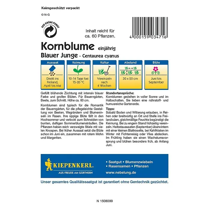 Kiepenkerl Profi-Line Blumensamen Kornblume - Centaurea cyanus, Blauer Junge, Blütezeit: Juni - Abbildung der Kornblume 'Blauer Junge', eine einjährige Sorte. Ideal für farbenfrohe Gärten und zur Schnittblumengewinnung.
