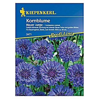 Kiepenkerl Profi-Line Blumensamen Kornblume (Centaurea cyanus, Blauer Junge, Blütezeit: Juni)