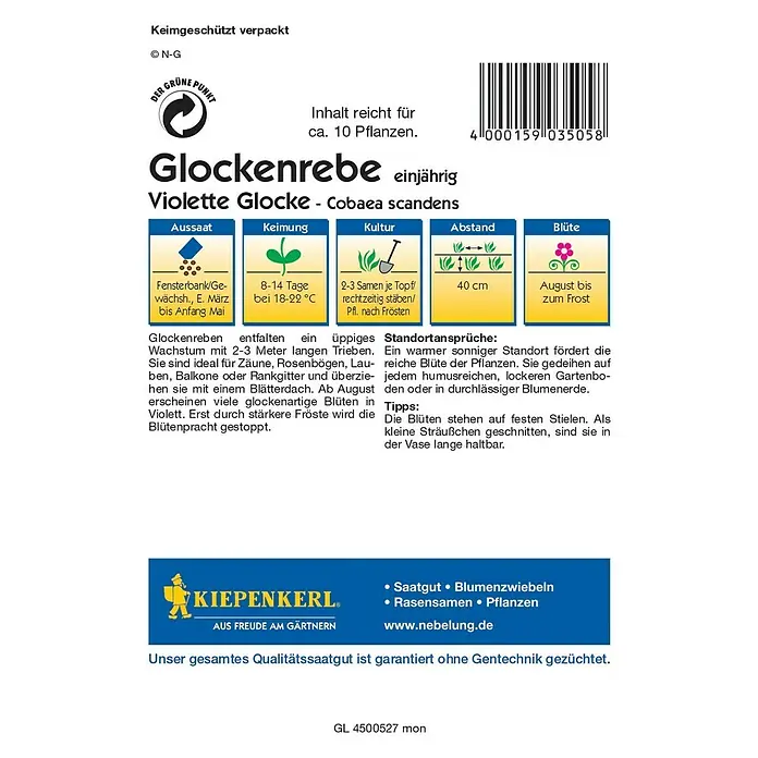 Kiepenkerl Profi-Line Blumensamen Glockenrebe - Cobaea scandens, Lila - Das Bild zeigt eine Packung Glockenrebe 'Violette Glocke' Samen, ideal für üppiges Wachstum mit violetten Blüten.