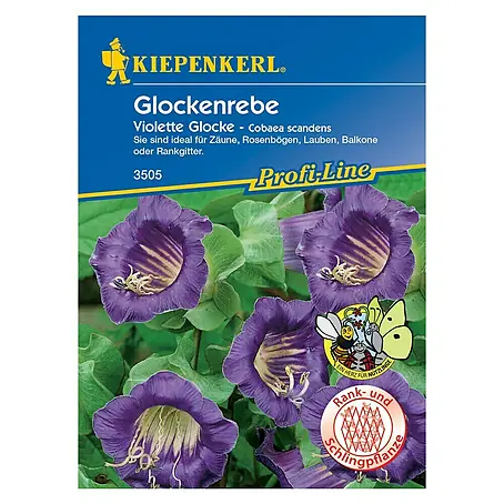 Kiepenkerl Profi-Line Blumensamen Glockenrebe