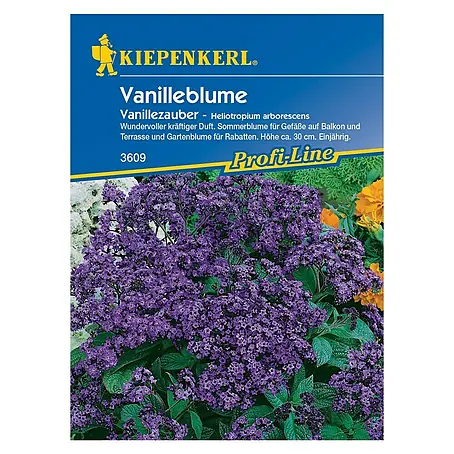 Kiepenkerl Profi-Line Blumensamen Vanilleblume