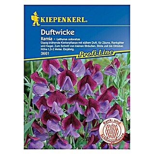 Kiepenkerl Profi-Line Blumensamen Duftwicke (Lathyrus odoratus, Ramia, Blütezeit: Juli)