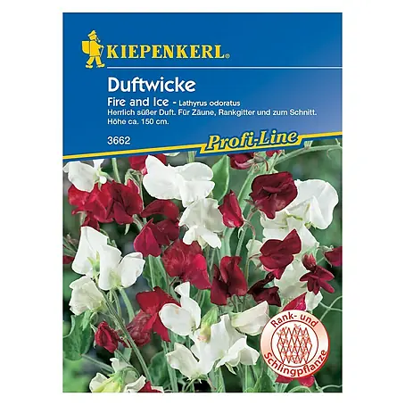 Kiepenkerl Profi-Line Blumensamen Duftwicke