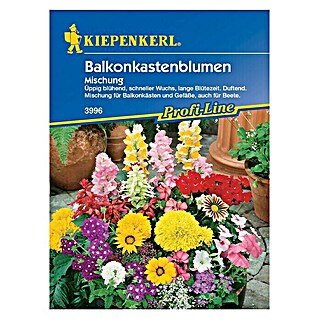 Kiepenkerl Profi-Line Blumensamen Balkonkastenmischung (Verschiedene Sorten, Mehrfarbig)