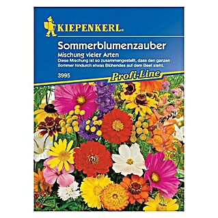 Kiepenkerl Profi-Line Blumensamen Sommerblumenzauber (Verschiedene Sorten, Mehrfarbig, 2 m²)