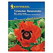 TUERKISCHER         RIESENMOHN ROT