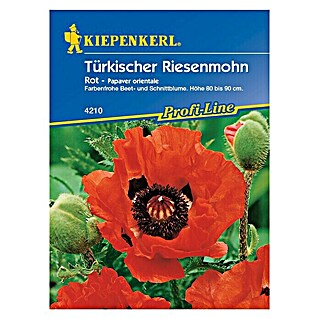 Kiepenkerl Profi-Line Blumensamen Türkischer Riesemohn (Papaver orientale, Rot)