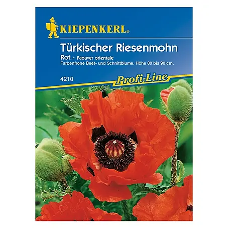 Kiepenkerl Profi-Line Blumensamen Türkischer Riesemohn