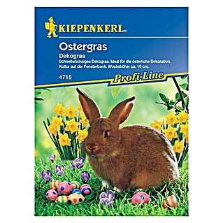 Kiepenkerl Profi-Line Saatgut Ostergras (Erntezeit: Ganzjährig)