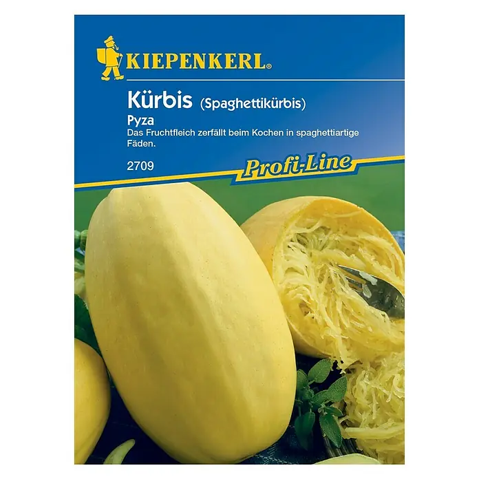 Kiepenkerl Profi-Line Gemüsesamen Kürbis - Pyza, Cucurbita pepo, Erntezeit: September - Samentüte Kiepenkerl Kürbis (Spaghettikürbis) Pyza, die Frucht zerfällt beim Kochen in spaghettiartige Fäden.