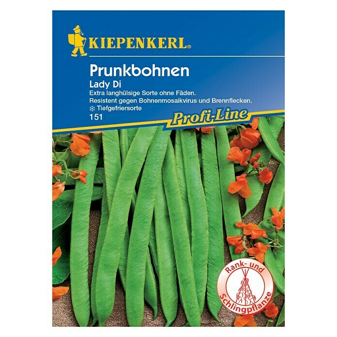 Kiepenkerl Profi-Line Gemüsesamen Prunkbohne (Lady Di, Phaseolus coccineus, Erntezeit: Juli)