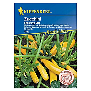 Kiepenkerl Profi-Line Gemüsesamen Zucchini (Shooting Star, Cucurbita pepo, Erntezeit: Juli)