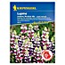 Kiepenkerl Profi-Line Blumensamen Lupine Avalune Bicolour Mix 