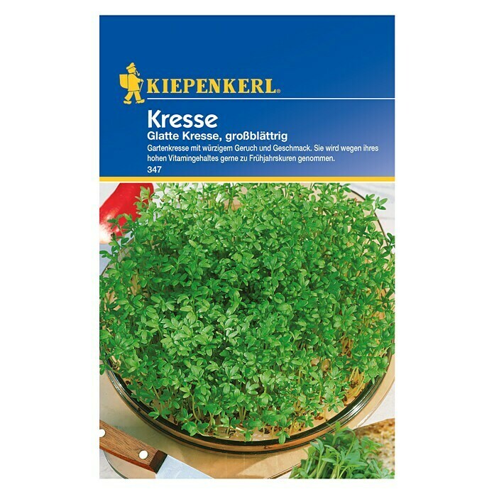 Kiepenkerl KräutersamenLepidium sativum, Glatte Kresse, Erntezeit: Ganzjährig Front View