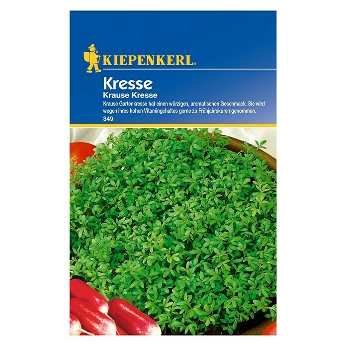 Kiepenkerl KräutersamenLepidium sativum, Krause Kresse, Erntezeit: Ganzjährig Front View