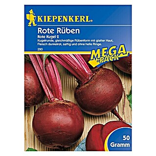 Kiepenkerl Gemüsesamen Rote Bete Rote Kugel (Beta vulgaris, Erntezeit: Juli)