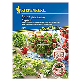 Kiepenkerl Profi-Line Salatsamen Crispita II (Lactuca sativa var. crispa, Erntezeit: April)