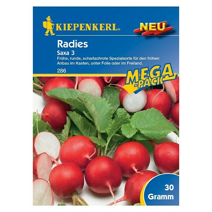 Kiepenkerl Gemüsesamen Radieschen (Raphanus sativus var. sativus, Erntezeit: April, Mega Pack - 30 g)