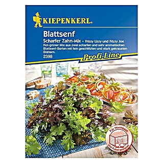 Kiepenkerl Profi-Line Salatsamen Blattsenf Scharfer Zahn (Brassica juncea var. rugosa, Erntezeit: April)