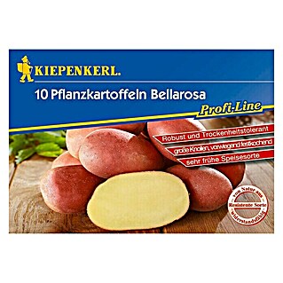 Kiepenkerl Profi-Line Sjemenski krumpir (10 Kom., Berba: Srpanj)