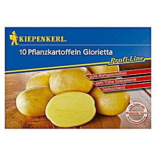 Kiepenkerl Profi-Line Pflanzkartoffeln (Solanum tuberosum, Glorietta, 10 Stk., Erntezeit: Juni)
