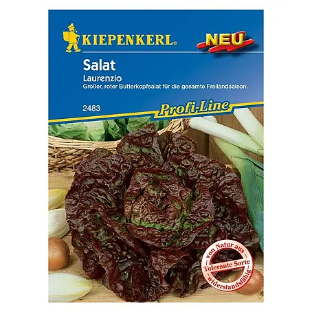 Kiepenkerl Profi-Line Salatsamen Laurenzio