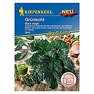 Kiepenkerl Profi-Line Gemüsesamen Grünkohl Black Magic (Brassica oleracea var. sabellica, Erntezeit: Juni)