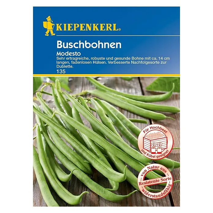 Kiepenkerl Gemüsesamen Buschbohne - Modesto, Phaseolus vulgaris, Erntezeit: Juli - Buschbohnen "Modesto" Samenpackung von Kiepenkerl. Sehr ertragreiche, robuste und gesunde Sorte mit langen, fadenlosen Hülsen.