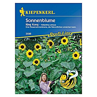 Kiepenkerl Profi-Line Blumensamen Sonnenblume (Helianthus annuus, King Kong, Blütezeit: August)