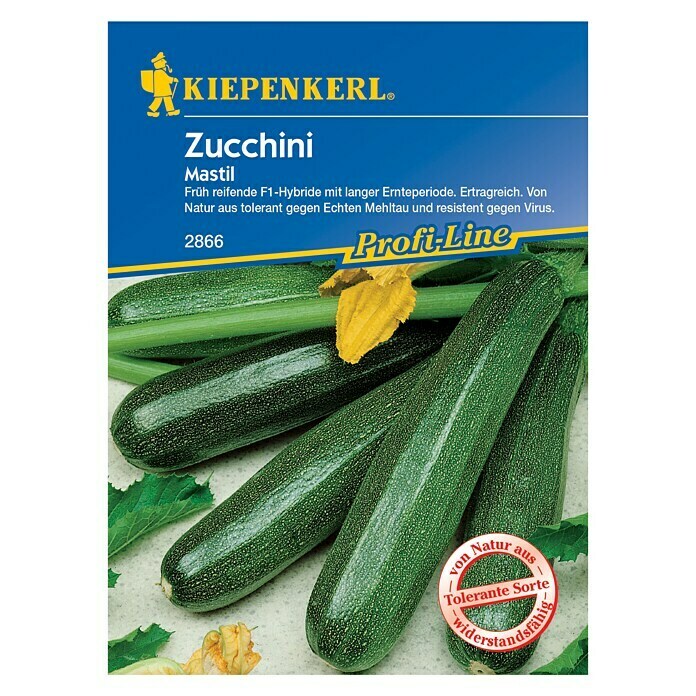 Kiepenkerl Profi-Line Gemüsesamen Zucchini 