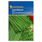 Kiepenkerl Kräutersamen Schnittlauch (Allium schoenoprasum, Saatzeit: April, Erntezeit: Juni) | BAUHAUS