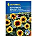Kiepenkerl Profi-Line Blumensamen Sonnenblume 