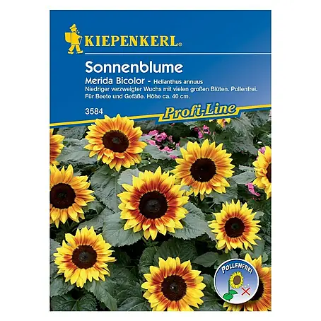 Kiepenkerl Profi-Line Blumensamen Sonnenblume