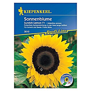 Kiepenkerl Profi-Line Blumensamen Sonnenblume (Helianthus annuus, Sunrich Lemon, Blütezeit: Juli)